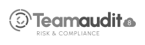 logo-teamaudit